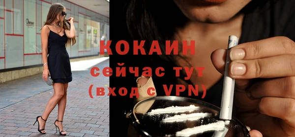 дживик Волоколамск