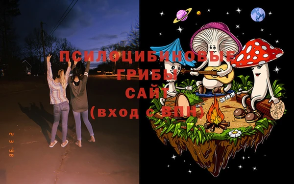 дживик Волоколамск