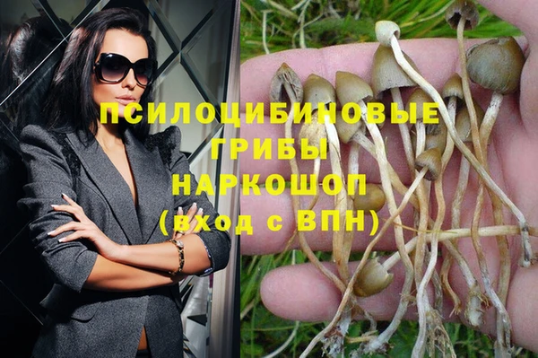 дмт Волосово