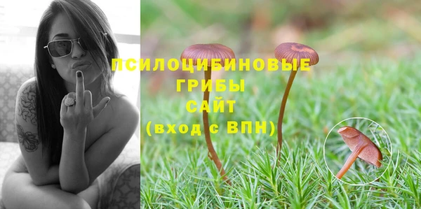 дживик Волоколамск