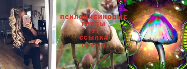 дживик Волоколамск